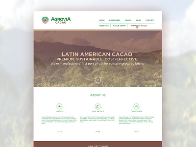 Agrovia Homepage branding cacao homepage web