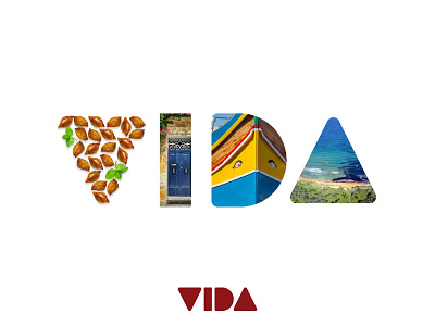 Vida Logo lifestyle logo magazine