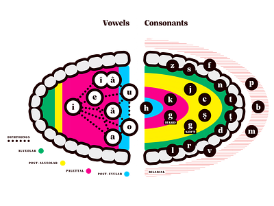 The Sounds of the Romanian Language