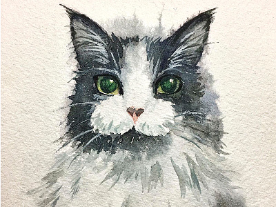 My cat Minnie. Watercolor. cat painting watercolor