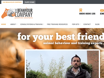 The Behaviour Company banner logo navigation video website