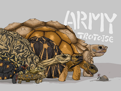 Army illustration tortoise