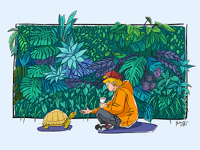 My Pets illustrations tortoise