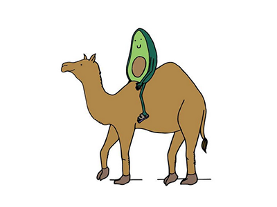 Happy (early) Hump Day avocado camel design doodle illustration