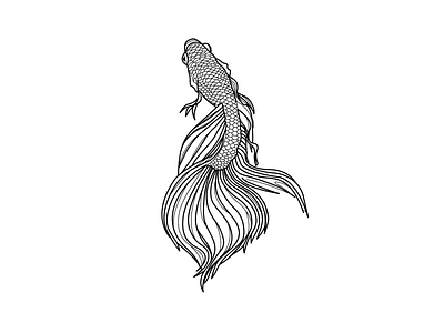 Siamese Fighting Fish - Illustration illustration linear lineart logo minimalist