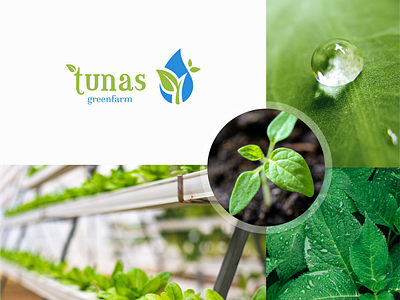 Mood board for Tunas Green Farm logo design