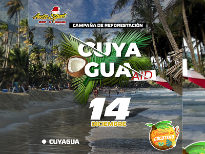 Flyer for Reforesting Campaign beach campaña cuyagua design flyer illustration logo photoshop playa