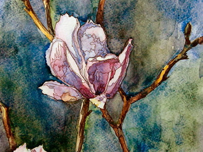 magnolia