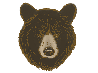 Bear Illustration