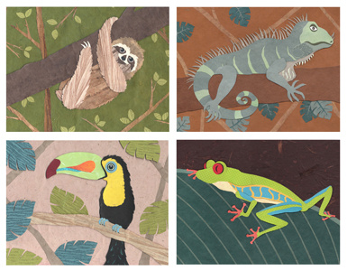 Rainforest Animals collage cut paper animals rainforest