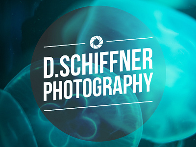 D.Schiffner Photography graphic design logo photography typography