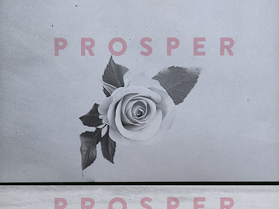 Prosper Album Cover #1 design graphic design music print