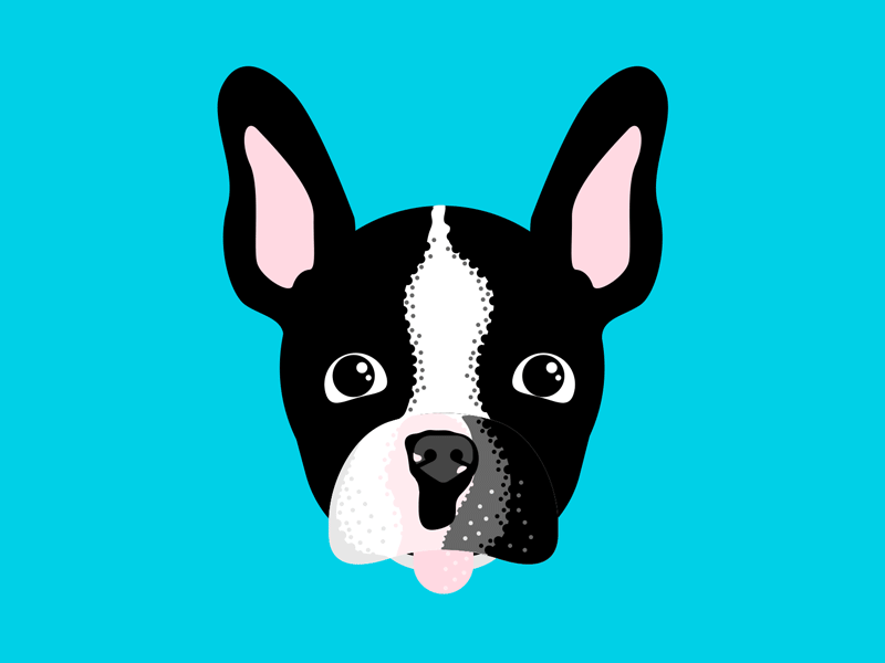 The Good-est Boy dog french bulldog mograph motion graphics puppy