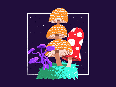 Midnight Mushrooms doodle hand drawn illustration mushrooms procreate
