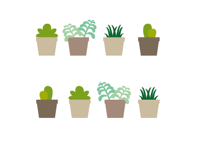 Cactus cactus flower green icon illustrator nature plants vector