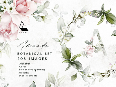 Amanda | Botanical set | 205 images composition illustration