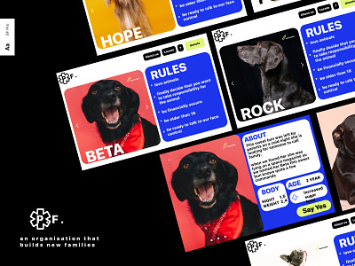 Animal shelter animal animal app animal shelter branding design dog friendly graphic design minimalism pet pet app simple simple app site trend ui ui design web web design