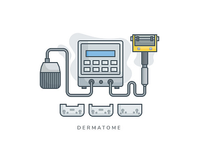 Dermatome