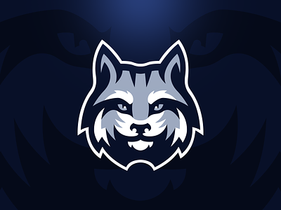 Lynx Logo Design bobcat brand branding design illustration illustrator logo lynx mascot mascot logo sports logo team logo vector