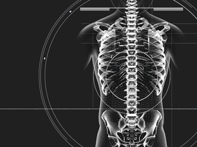 Scan ae animation bones concept gif grid lines map motiongraphics scan torso