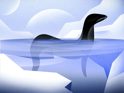 Ice animal branding design graphic design illustration logo ocean sea seal vector
