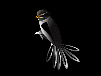 B. bird branding design graphic design ill illustration lines logo vector
