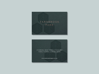 Tarnbrook Park Coming Soon branding graphic design identity illustration layout logo marque monogram print typography