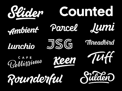 Logotype and Lettering Collection lettering logo logotype type