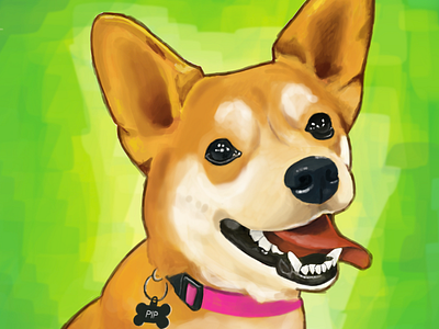 My dog dog drawing illustration paint photoshop shiba