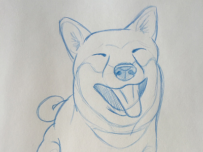 Zero Fox Dog drawing fundraiser non profit pencil shiba shiba inu sketch