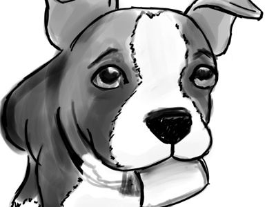 Puppy dog drawing illustration puppy sketch