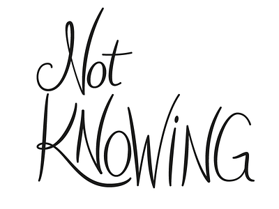 Not Knowing 2