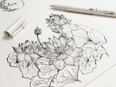 Lotus flowers art drawing flower flowers liner lotus