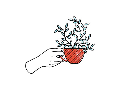 Teacup Plant