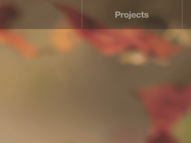 Hover animation prototype (GIF) nav button line portfolio after effects gif animated prototype