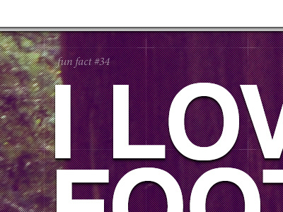 Portfolio: footer footer helvetica lines minion pro texture