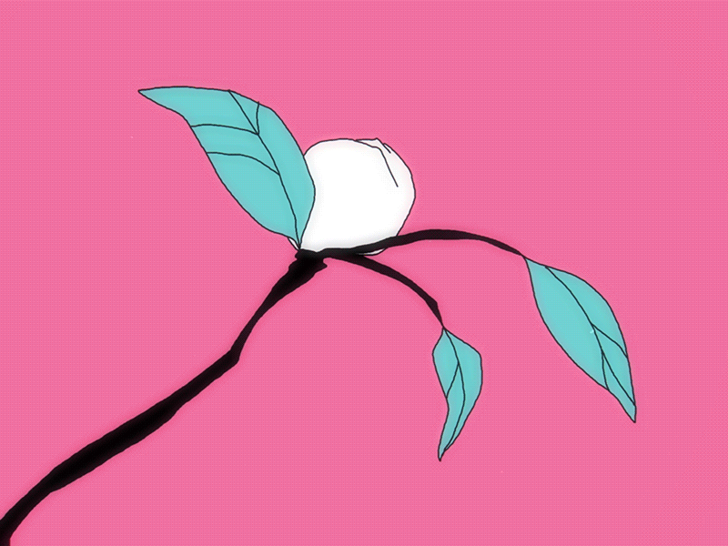 Flower Bloomy 1 animation 2d bloom flower la dispute music video pink