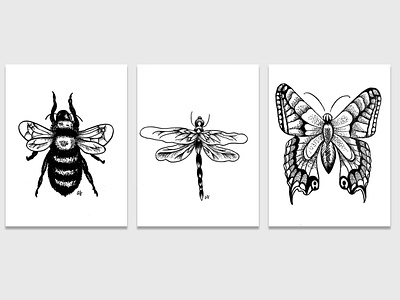 Insects drawing fine art illustration ink insects sketching