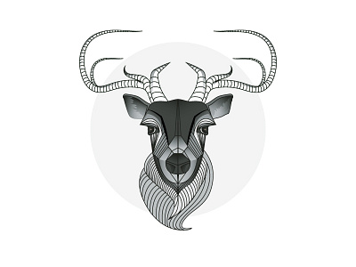 Deer deer gray vector winter