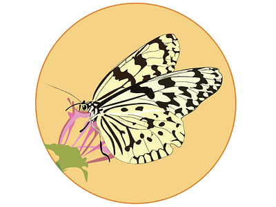 Butterflys badges