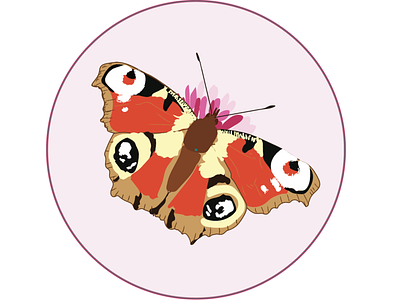 Butterflys badges illustration sketch