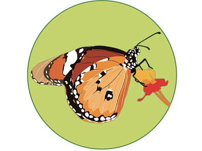 More butterflys badges illustration sketch