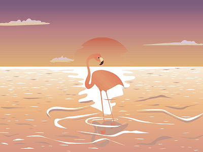 Flamingo