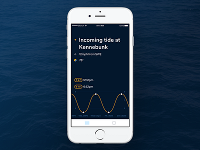 Get Salty(ier) chart ios line chart ocean tide typography