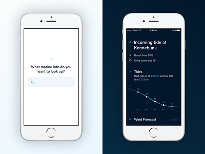 Landing and Location View bar chart chart dark fishing ios line chart marine ocean wind