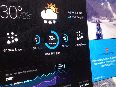 Snowfall history and base depth chart icons line chart ski snow snowcast social weather winter