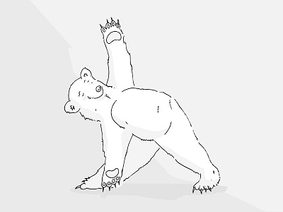 Yoga-Bear bear illustration illustrator yoga yoga bear