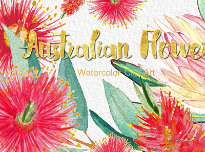 Australian flowers watercolor 3d animation app australian branding bundle clipart collection design flowers graphic design illustration logo motion graphics ui watercolor