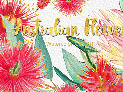 Australian flowers watercolor