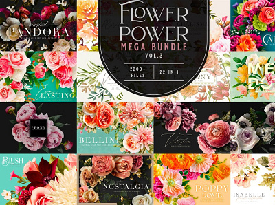 Flower Power Mega Bundle Vol 3 3d animation app branding bundle clipart collection design flower graphic design illustration logo mega motion graphics power ui